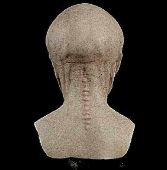 AlienMorph™ Máscara de Silicona 🔥 Venta Anticipada de Halloween -50% DTO | Máscara Alien Divertida