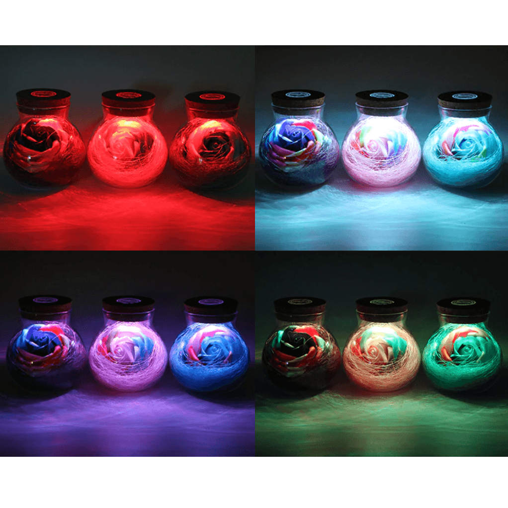 Rosa en una Botella | Iluminación - Science Factory ES