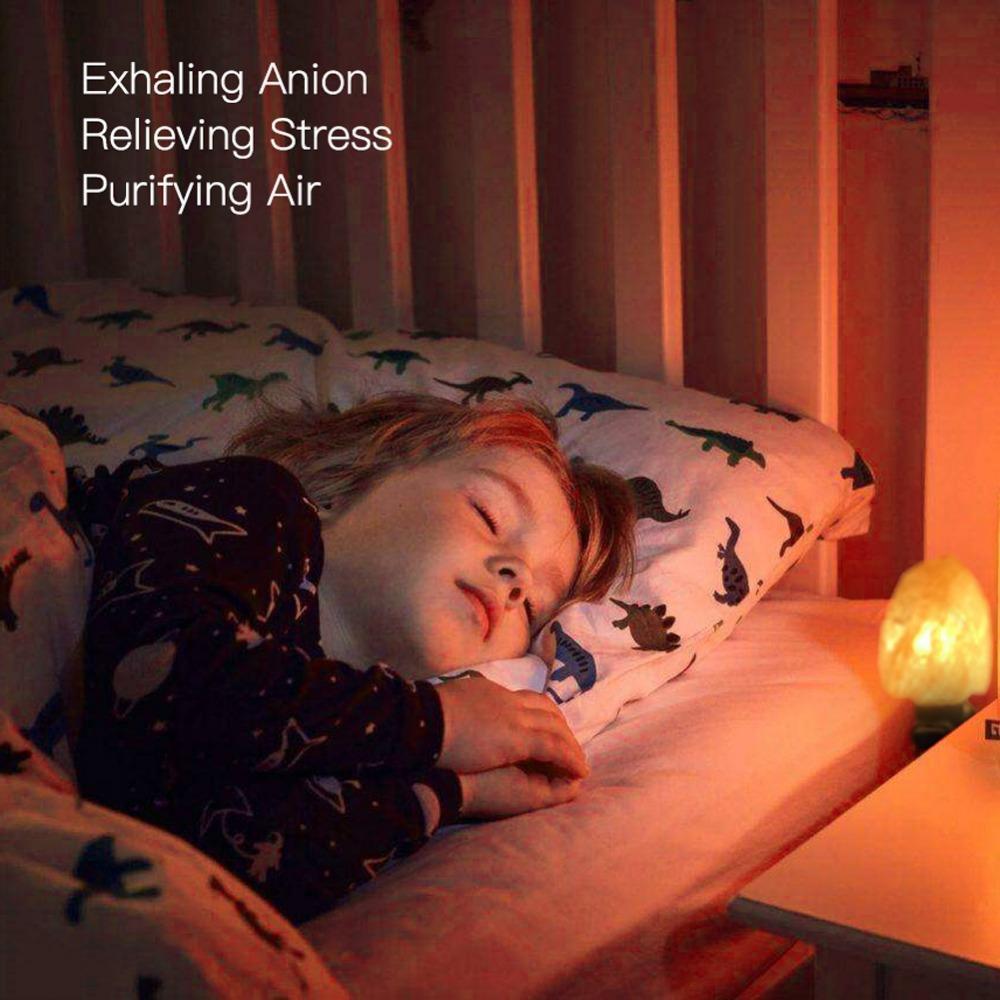 Lámpara de Sal del Himalaya | Iluminación - Science Factory ES