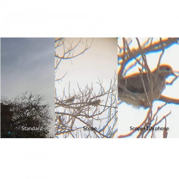 Nikula Smartphone (Tele)scope Adaptador | UNIVERSAL - Science Factory ES