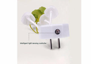 Luz Nocturna en forma de Hongo | Iluminación sostenible - Science Factory ES