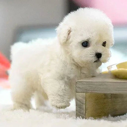 PuppiBot™ Interactivo con Movimientos Realistas