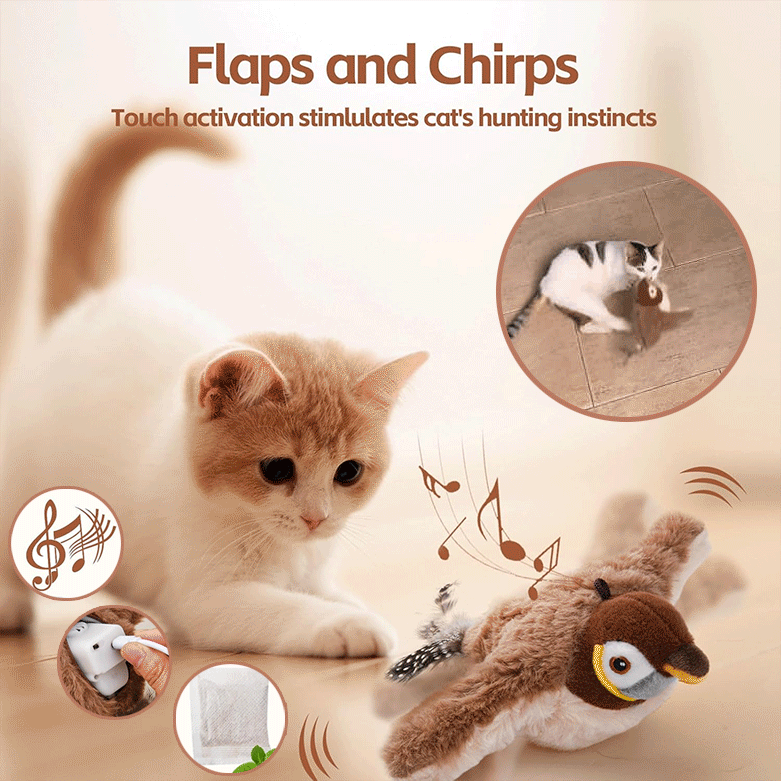 PurrChirp™ – Interactief Vogelspeeltje Voor Katten - Science Factory