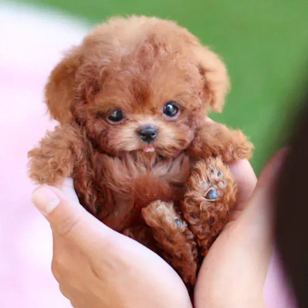 PuppiBot™ Interactivo con Movimientos Realistas