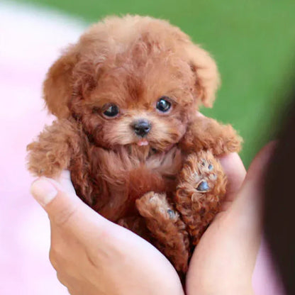 PuppiBot™ Interactivo con Movimientos Realistas