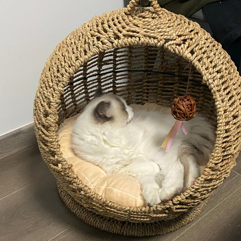 CatCocoon™ Cama Hamaca Tejida para Gatos – Cesta Colgante de Pasto Marino para Mascotas (🔥Alfombrilla Gratis)