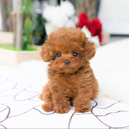 CuddlePup™ 2.0 - Un Juguete de Mascota Realista