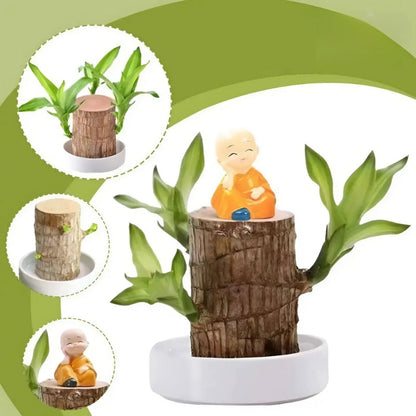 FortuneBloom™ Planta de Madera Brasileña de la Suerte