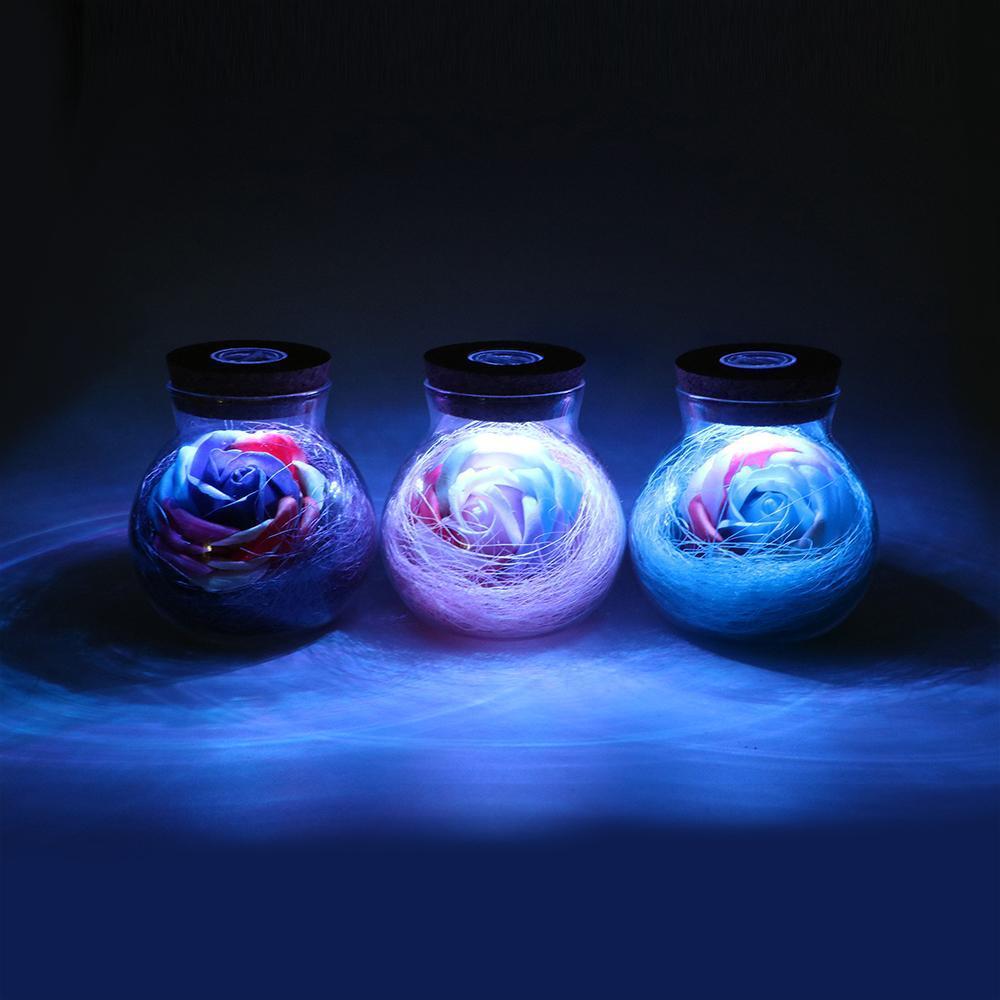 Rosa en una Botella | Iluminación - Science Factory ES