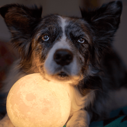 Luz Nocturna de la Luna (de Color) | Iluminación - Science Factory ES