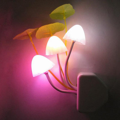 Luz Nocturna en forma de Hongo | Iluminación sostenible - Science Factory ES
