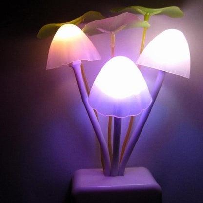 Luz Nocturna en forma de Hongo | Iluminación sostenible - Science Factory ES